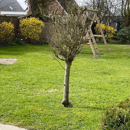 Feriengarten-buesum-c17 아파트 *